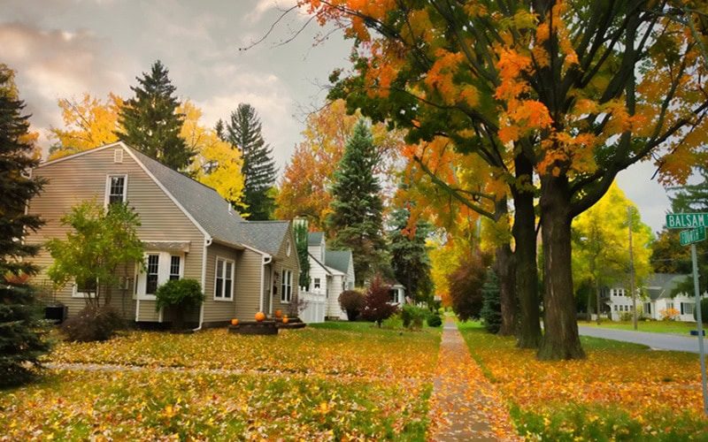A row of homes with autumn trees out front | Fall HVAC Maintenance | Keep Your Systems Running | Picayune