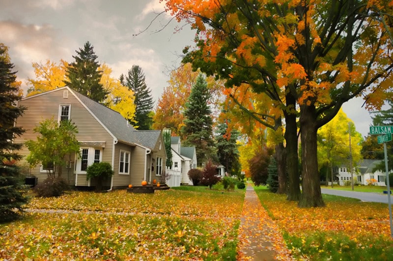 A row of homes with autumn trees out front | Fall HVAC Maintenance | Keep Your Systems Running | Picayune