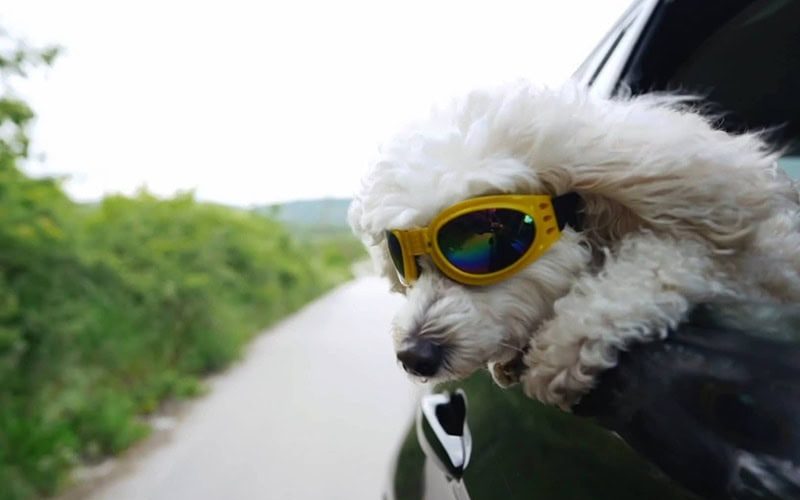 Video - Stay Cool During the Summer