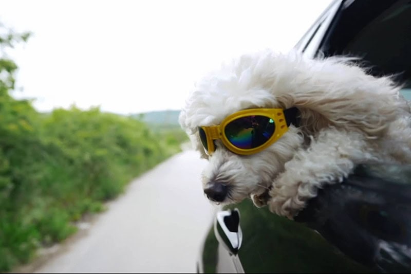 Video - Stay Cool During the Summer