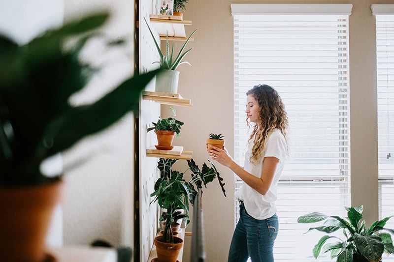 How Do Air Purifiers and Air Filters Work?