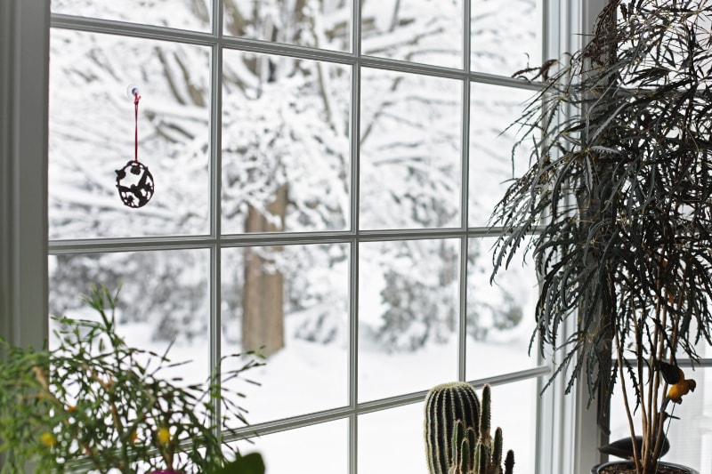A winter blizzard rages outside the back yard bay window where this small, serene potted plant garden grows and blooms oblivious to the season.  A similar is available in vertical/portrait orientation.