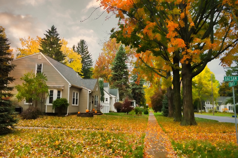 A row of homes with autumn trees out front | Fall HVAC Maintenance | Keep Your Systems Running | Picayune, MS